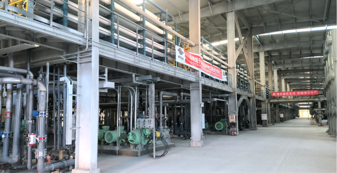 ��ͷ�� | ����Ү�κ���ֵ�ؼ�̼�����Ŀ˳����ˮ�������Գ�����