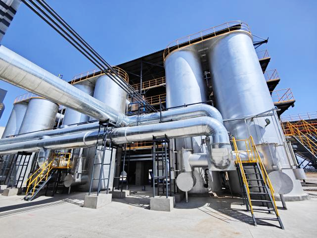 40��ֻ�����������Ŀ