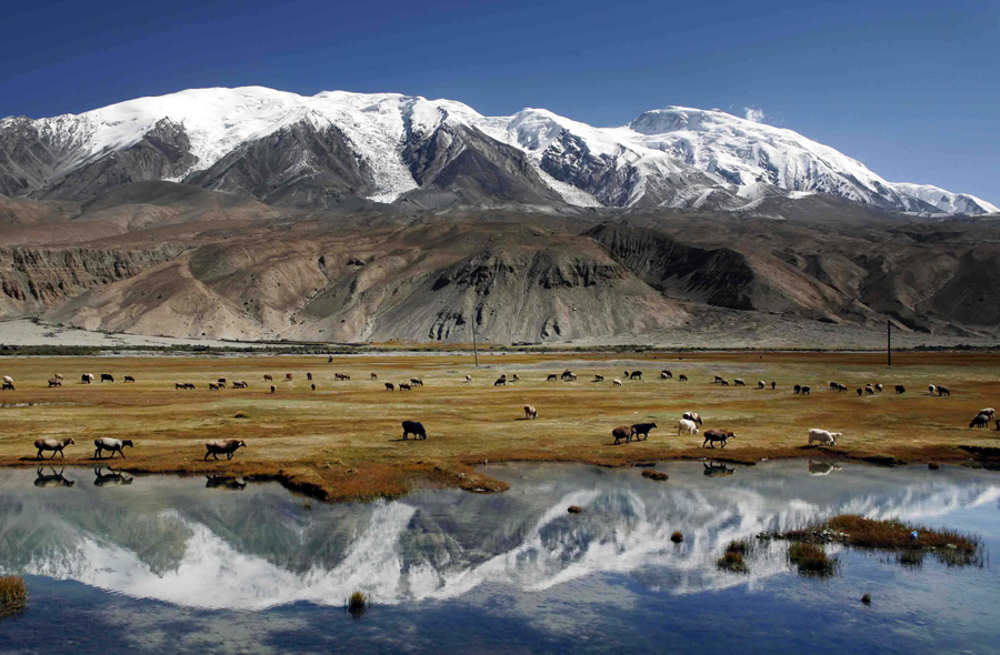 ��ͷ�� | �ĵ�ͭ������ִ򿪣��Ƿ�����ҵ���²���