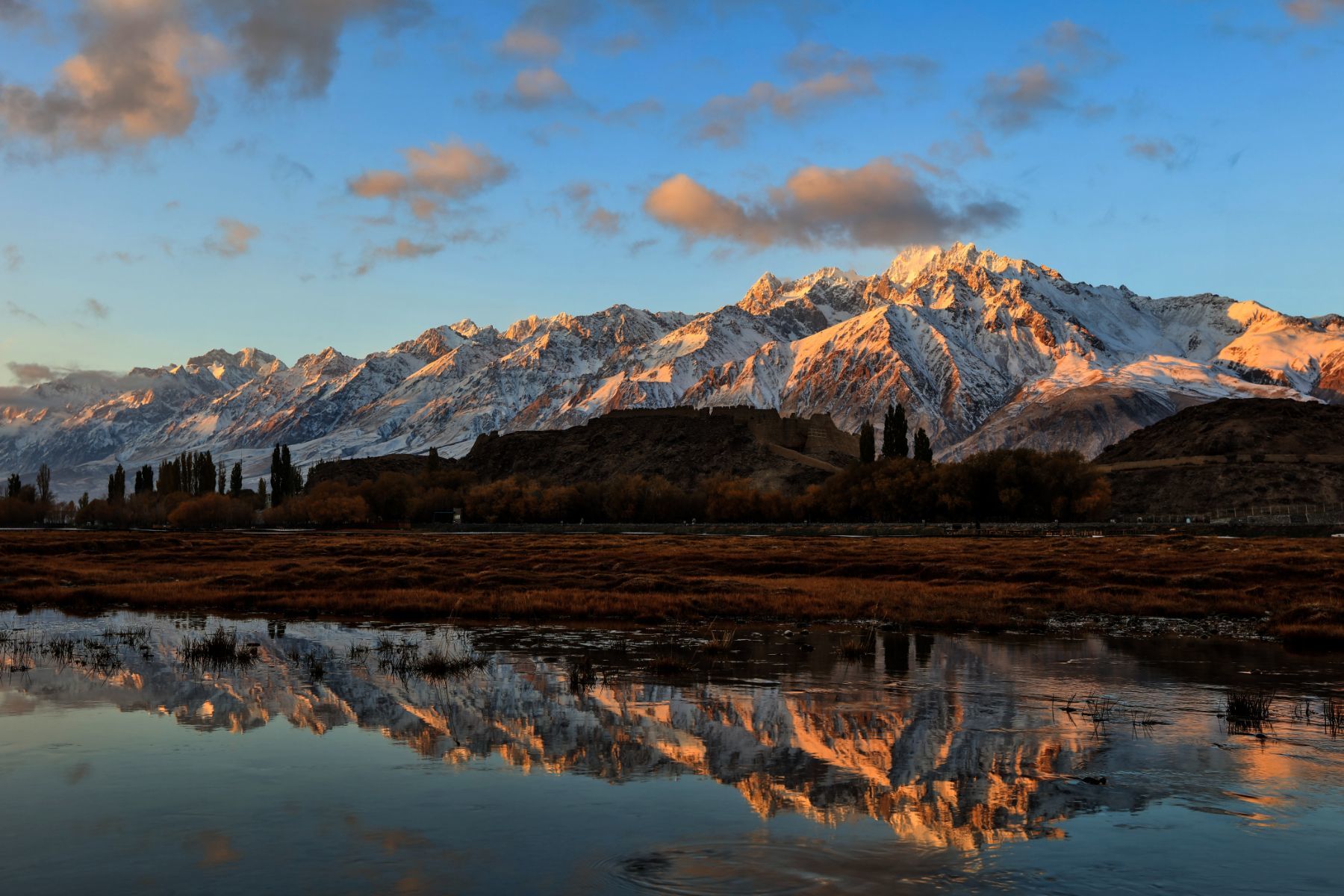 ��ͷ�� | һ���ڷǷ����ʳɹ���������ͭ��