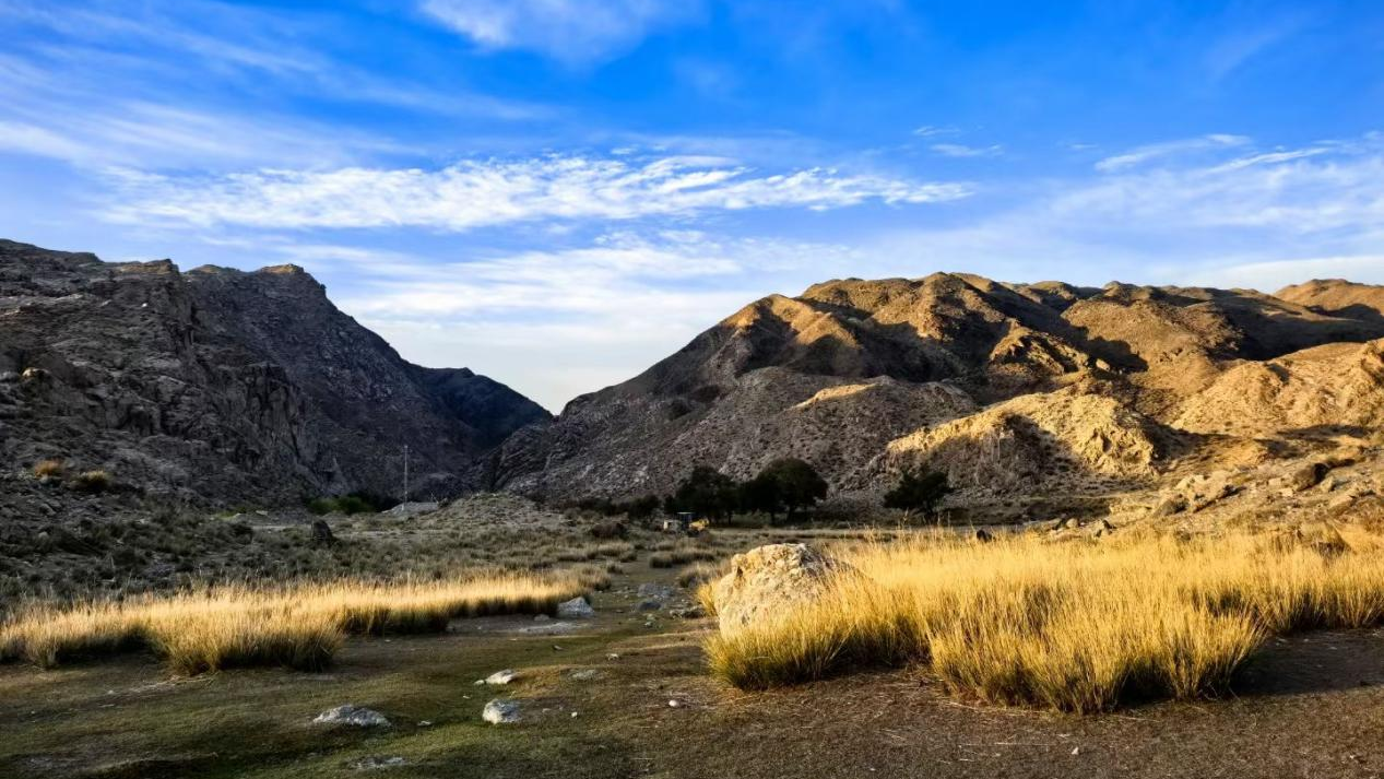 �Ƿ����� | ˶���������������+��ҵˮ����+�ǻۻ���ά��ͷ������