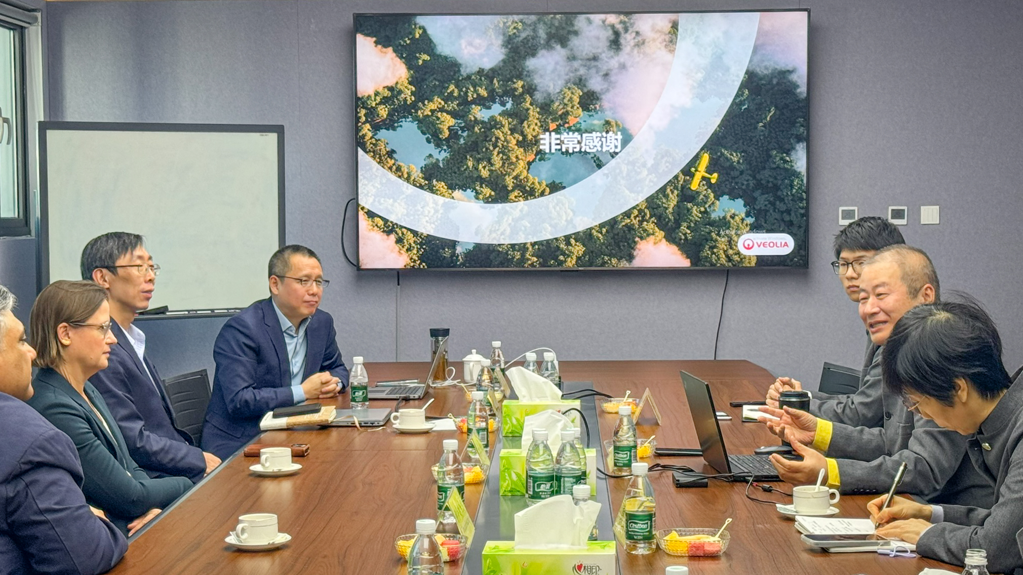 ������ˮ����ȫ����ϯִ�й�CEO����ޥ��Anne Le Guennec��һ�й��ٷǷ����ʻ����ι�